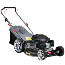 Cortador de grama LR220